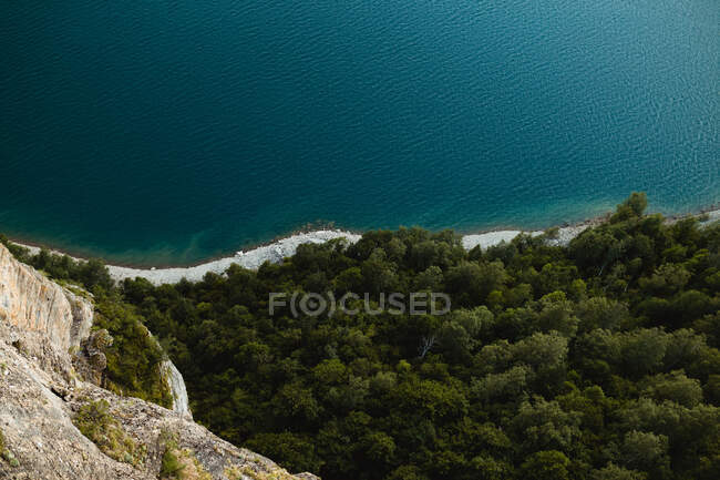 Wonderful view of green forest and calm sea from rocky cliff in beautiful countryside — Stock Photo