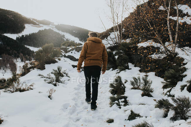 Back view of male hiker walking on snowy mountain area in sunlight — Stock Photo