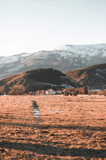 Champ sec et hautes collines avec des bois verts en hiver — Photo de stock