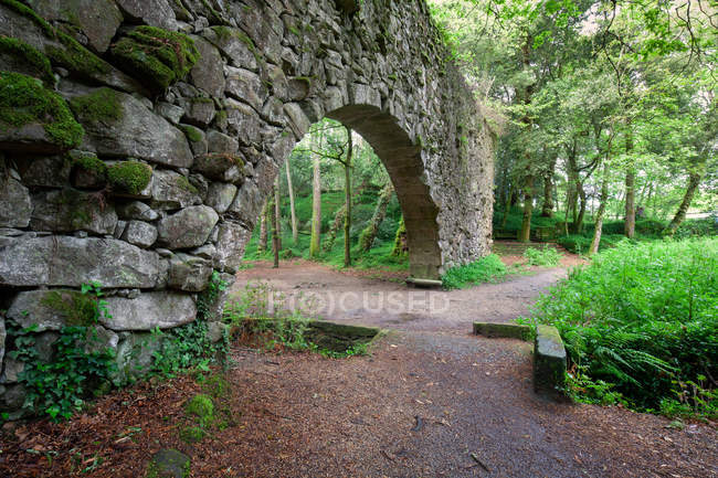 Ruins of castle in Galician mythological mountains, Aldan, Spain — Stock Photo