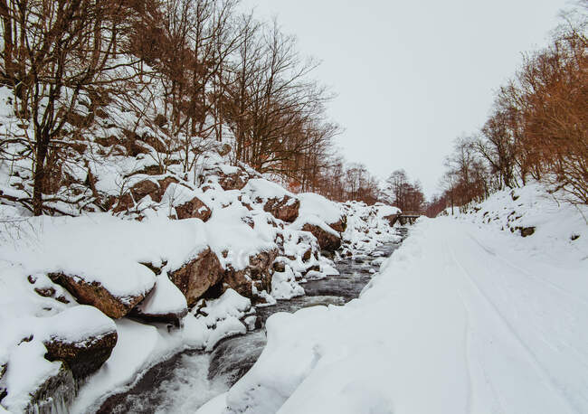 Маленький ручей, протекающий через величественный снежный лес в спокойный весенний день — стоковое фото