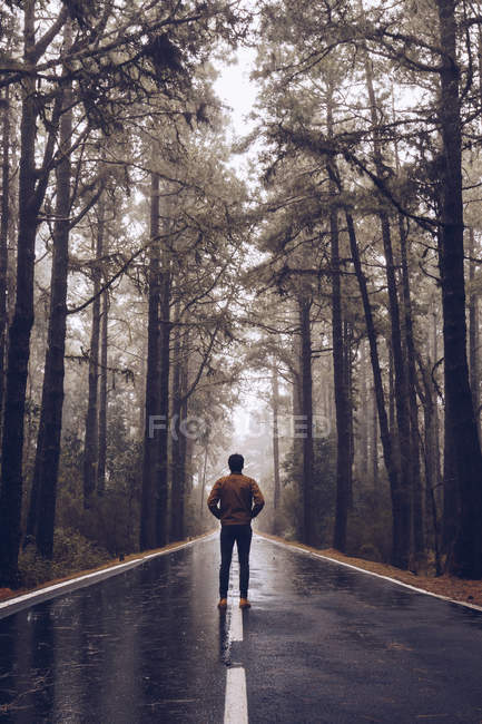Viajante masculino caminhando na estrada vazia na floresta — Fotografia de Stock