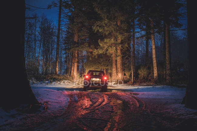 Coche que monta a lo largo de camino sucio en bosque de noche - foto de stock