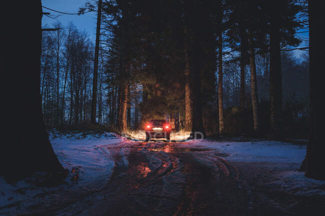 Carro andando ao longo da estrada suja na floresta da noite — Fotografia de Stock