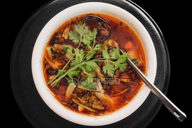 Зверху смачний гарячий суп з жаб'ячим м'ясом, цибулею, огірком та коріандрою на тарілці на чорному тлі — стокове фото