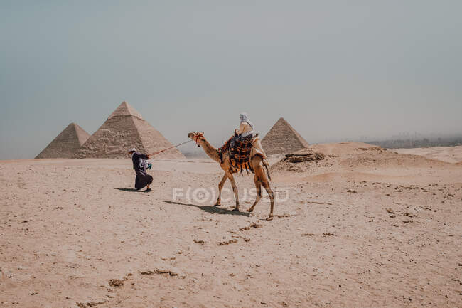 Deux Arabes anonymes avec des chameaux marchant dans le désert contre les grandes pyramides célèbres et le ciel gris au Caire, en Egypte — Photo de stock