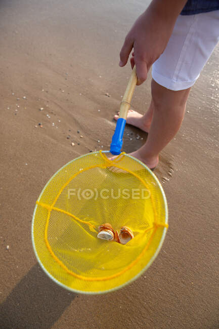 Von oben gelber Kreis schiebt Netz mit Muscheln am Sandstrand im Sommer — Stockfoto