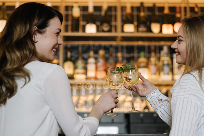 Vista posteriore di due amiche sorridenti e tintinnanti bicchieri di cocktail alcolici mentre trascorrono del tempo nel bar di un ristorante accogliente — Foto stock