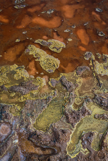 Wet dirt covered with muddy water — Stock Photo