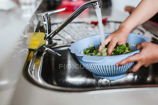 Mains de gamin anonyme laver les herbes fraîches dans un tamis sous l'eau propre tout en faisant de la salade dans la cuisine — Photo de stock