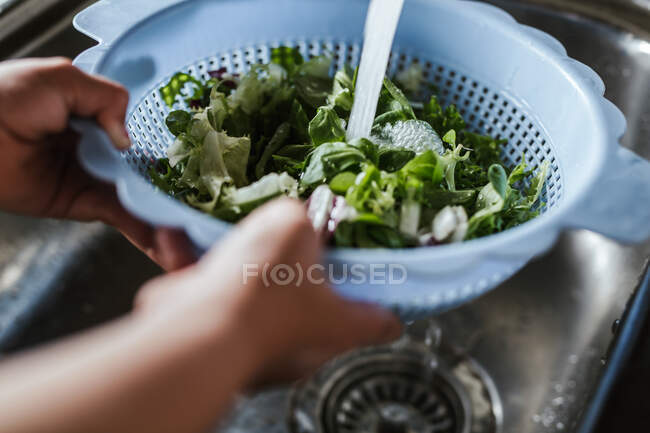 Mani di bambino anonimo che lava erbe fresche sotto setaccio sotto acqua pulita mentre fa l'insalata in cucina — Foto stock