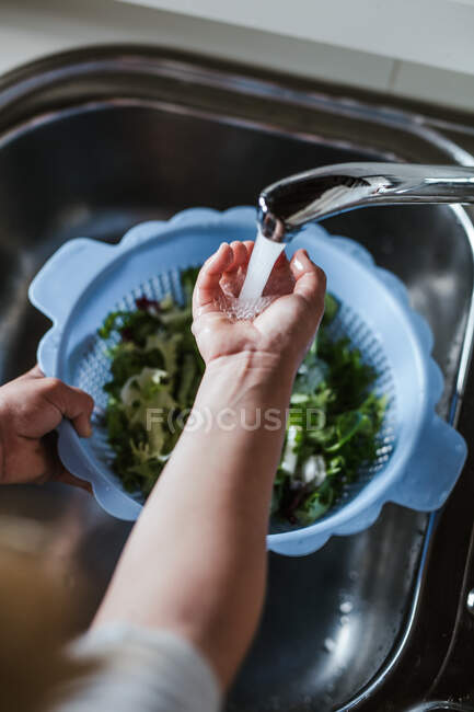 Manos de niño anónimo lavando hierbas frescas en el tamiz bajo agua limpia mientras hace ensalada en la cocina - foto de stock
