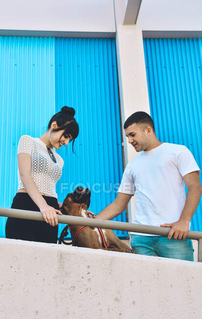 Casal com seu cão Boxer abraçado e assistindo a partir de um terraço da cidade — Fotografia de Stock