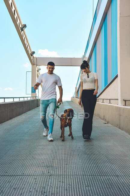 Pareja con su perro Boxer abrazado y mirando desde una terraza de la ciudad - foto de stock