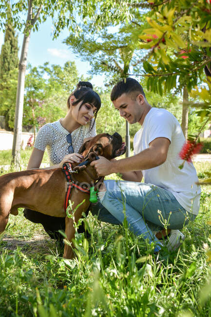 Casal com seu cão Boxer sentado em um parque em um dia ensolarado — Fotografia de Stock