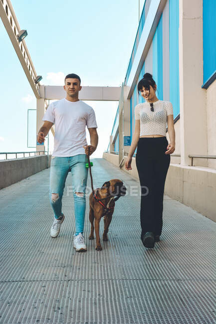 Couple with their Boxer dog embraced and watching from a terrace the city — Stock Photo