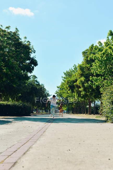Мужчина бегает и играет со своей собакой Боксер в парке — стоковое фото