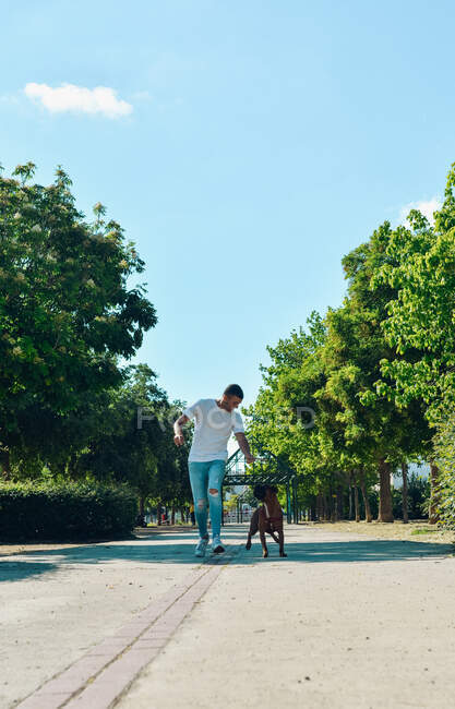 Hombre corriendo y jugando con su perro Boxeador en un parque - foto de stock