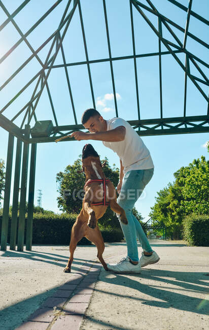 Мужчина бегает и играет со своей собакой Боксер в парке — стоковое фото