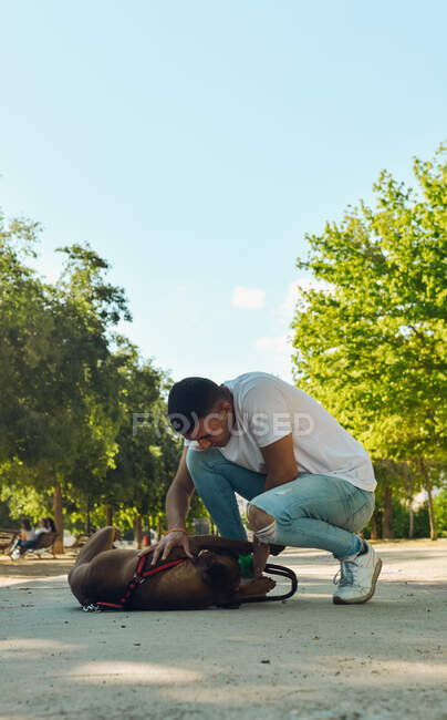 Man running and playing with his dog Boxer in a park — Stock Photo