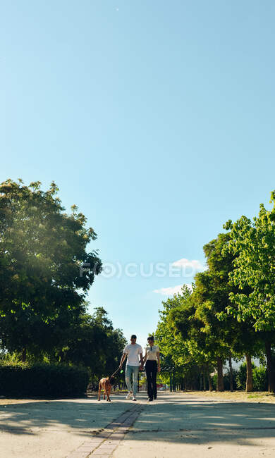 Пара гуляє і грає зі своїм собакою по вулицях міста — стокове фото