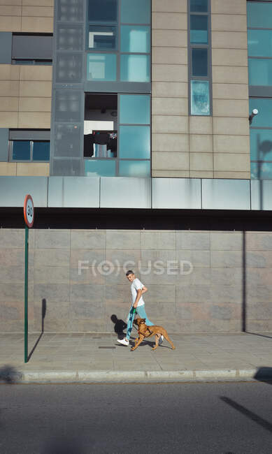 Homem correndo e brincando com seu cão Boxer em um parque — Fotografia de Stock