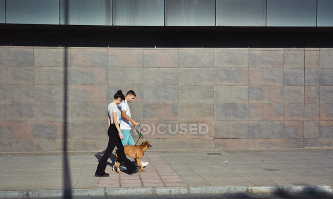 Couple walking and playing with their dog through the streets of the city — Stock Photo