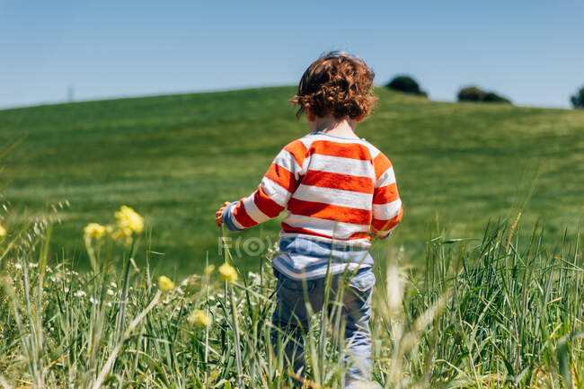 Безликий ребенок со спины гуляет по полю, полному цветов в сельской местности — стоковое фото