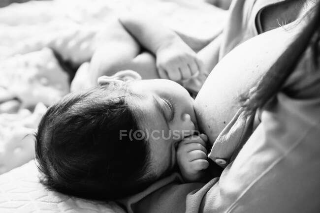 Desde arriba madre joven sosteniendo las manos y amamantando al bebé recién nacido envuelto en manta en la cama en casa - foto de stock