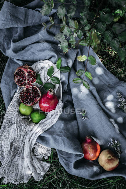 Bouquet de fruits frais assortis placés sur des morceaux de tissu sur de l'herbe verte dans la nature — Photo de stock
