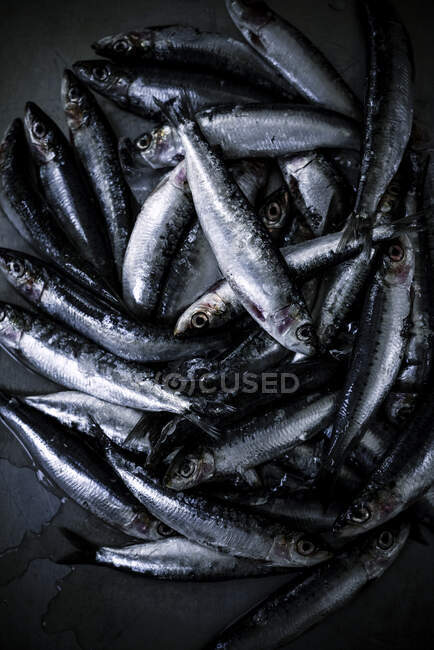 Bandeja con pescado fresco - foto de stock