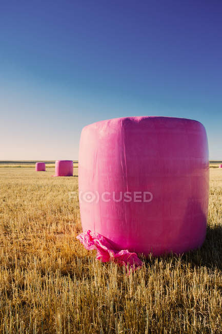 Пшеничные палочки с розовым пластиком, кампания против рака молочной железы — стоковое фото