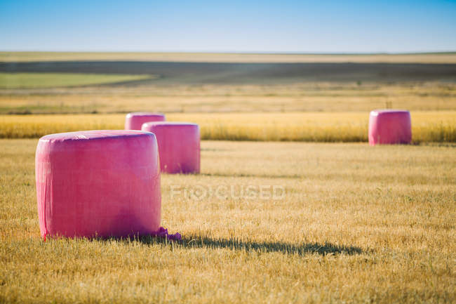 Balle di cereali avvolte con plastica rosa, campagna contro il cancro al seno — Foto stock