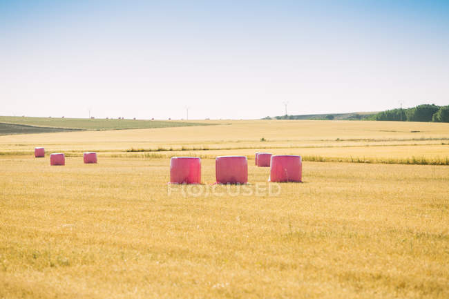 Fardos de cereales envueltos con plástico rosa, campaña contra el cáncer de mama - foto de stock