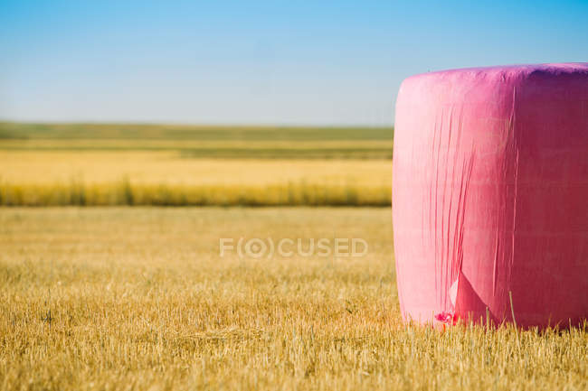 Bale de cereales envuelto con plástico rosa, campaña contra el cáncer de mama - foto de stock