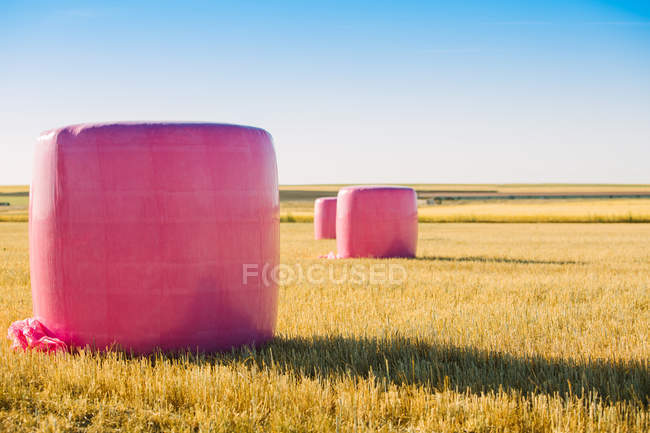 Balles de céréales enveloppées de plastique rose, campagne contre le cancer du sein — Photo de stock