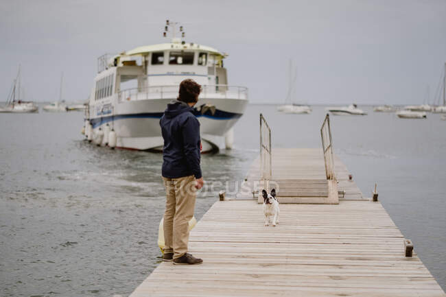 Back view of anonymous adult man in casual outfit spending time with French Bulldog on lumber pier near sea — Stock Photo