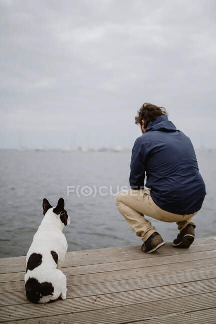 Vista trasera de macho adulto y Bulldog francés manchado sentado en el muelle de madera y mirando el mar tranquilo en día gris - foto de stock