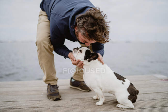 Loyal French bulldog smelling hand of crop man while spending time on pier near sea together — Stock Photo