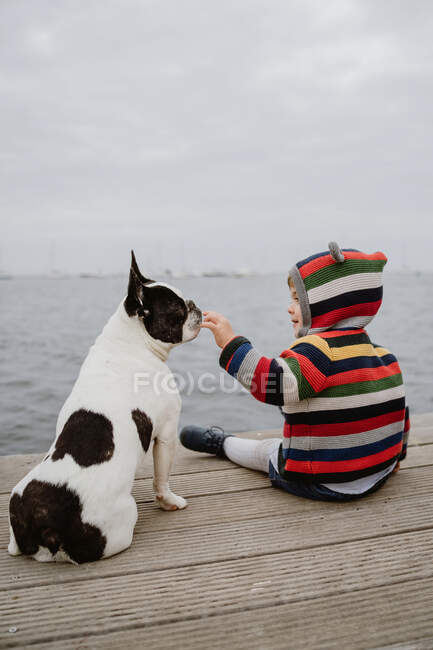 Back view of kid in striped jacket patting spotted French Bulldog while sitting on lumber pier near sea — Stock Photo