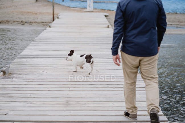 Hombre adulto anónimo en chaqueta caliente caminando con Bulldog francés manchado en el muelle de madera y admirando la vista del mar ondulante en un día aburrido - foto de stock