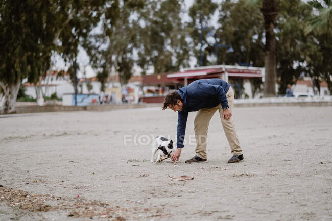 Взрослый мужчина и пятнистый французский бульдог играют на пляже в серый день — стоковое фото