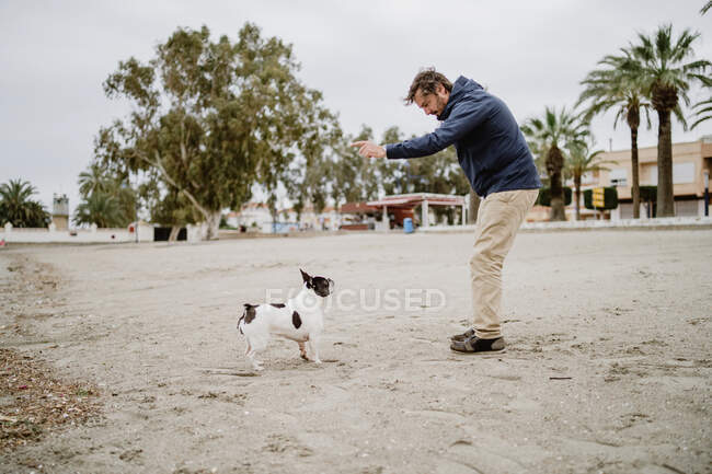 Side view of adult man with stick playing with obedient French Bulldog while spending time on sandy shore near sea — Stock Photo