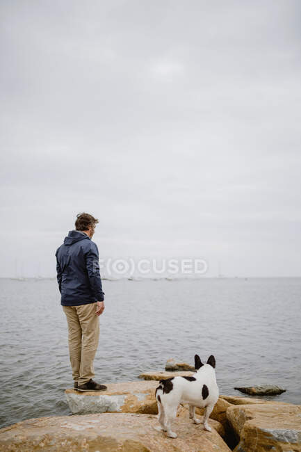 Rückansicht eines erwachsenen Mannes und einer gefleckten französischen Bulldogge, die auf Felsbrocken steht und auf das plätschernde Meer vor grauem, bewölkten Himmel blickt — Stockfoto