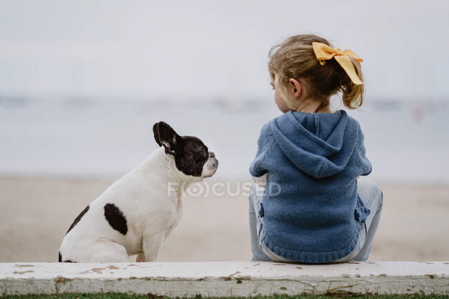 Visão traseira da menina perto Bulldog francês enquanto sentado na praia perto do mar juntos — Fotografia de Stock