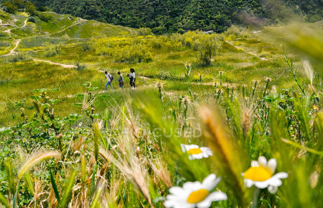 Groupe d'amis marchant sur un chemin par une journée ensoleillée tout en visitant Grenade En Espagne — Photo de stock