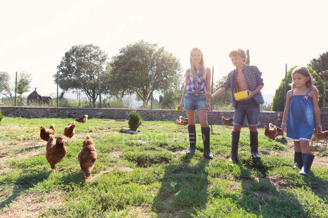 Crianças em desgaste de verão e wellingtons alimentando galinhas por grama na fazenda em dia ensolarado — Fotografia de Stock
