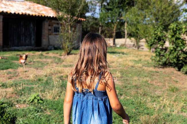 Cute little girl with long hair in denim dress standing on farm yard with walking hens in sunny summer day — Stock Photo