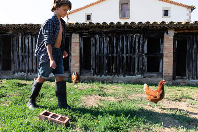 Cute boy in plaid shirt and wellingtons feeding chickens on farm yard in sunny day — Stock Photo