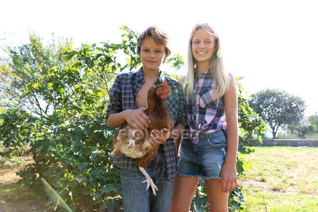 Мальчик и девочка в клетчатых рубашках и джинсовых шортах улыбаются и ласкают курицу, стоя рядом с зелеными кустами в солнечный день на ферме — стоковое фото